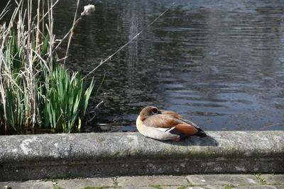 DSC_6898 (Large).JPG